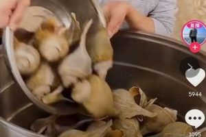 [抖音带货]把抖音做成淘宝，带货效率会更高