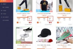 网站截流冷门暴利项目玩法，自带流量无需引流