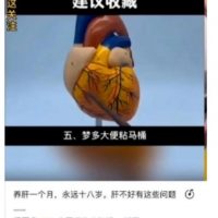 视频号变现玩法解析：4个不同寻常的变现类目分析