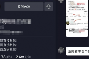 [抖音小项目]轻松日入600+，适合小白短视频创业的抖音小项目