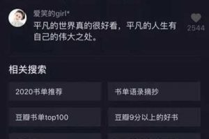 [抖音SEO流量]案例分析抖音SEO流量的秘密 获取百万流量进行赚钱变现