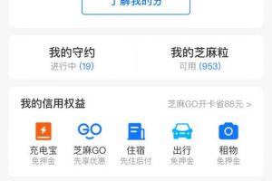 [闲鱼卖货]玩赚闲鱼：闲鱼平台的背景优势和卖货前期的准备（一）