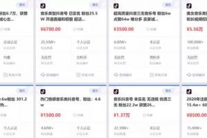 [抖音音乐号]0成本操作抖音音乐号，上手简单月入5000＋