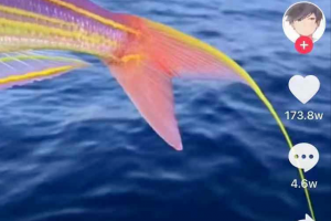 [抖音科普号]抖音科普号7天暴涨111w粉丝！？他如何做到的？