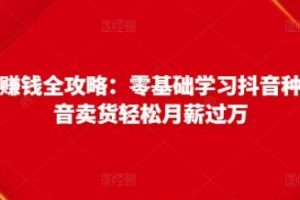 《抖音电商赚钱全攻略》零基础学习抖音种草，靠抖音卖货轻松月薪过万