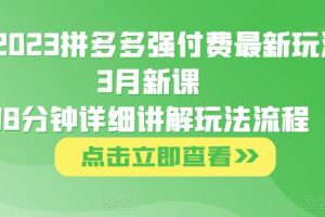 大炮·2023拼多多强付费最新玩法，3月新课78分钟详细讲解玩法流程