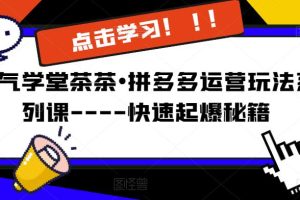 牛气学堂茶茶o拼多多运营玩法系列课—-快速起爆秘籍