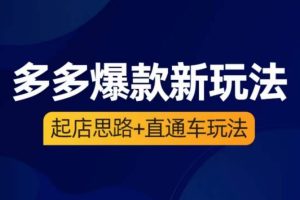 海神·多多爆款新玩法，起店思路+直通车玩法（3节精华课）