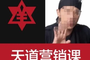天道老阮-天道营销课，赚钱有规律，听完不焦虑
