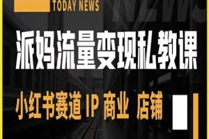 派妈流量变现私教课，小红书赛道IP  商业  店铺