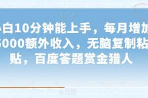 小白10分钟能上手，每月增加6000额外收入，无脑复制粘贴，百度答题赏金猎人【揭秘】