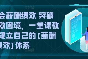 学会薪酬绩效 突破人效困境，一堂课教你建立自己的【薪酬+绩效】体系