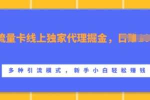 流量卡线上独家代理掘金，日入1k+ ，多种引流模式，新手小白轻松上手【揭秘】
