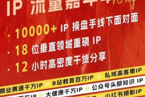 群响IP流量嘉年华，现场视频+IP江湖2024典藏版PPT