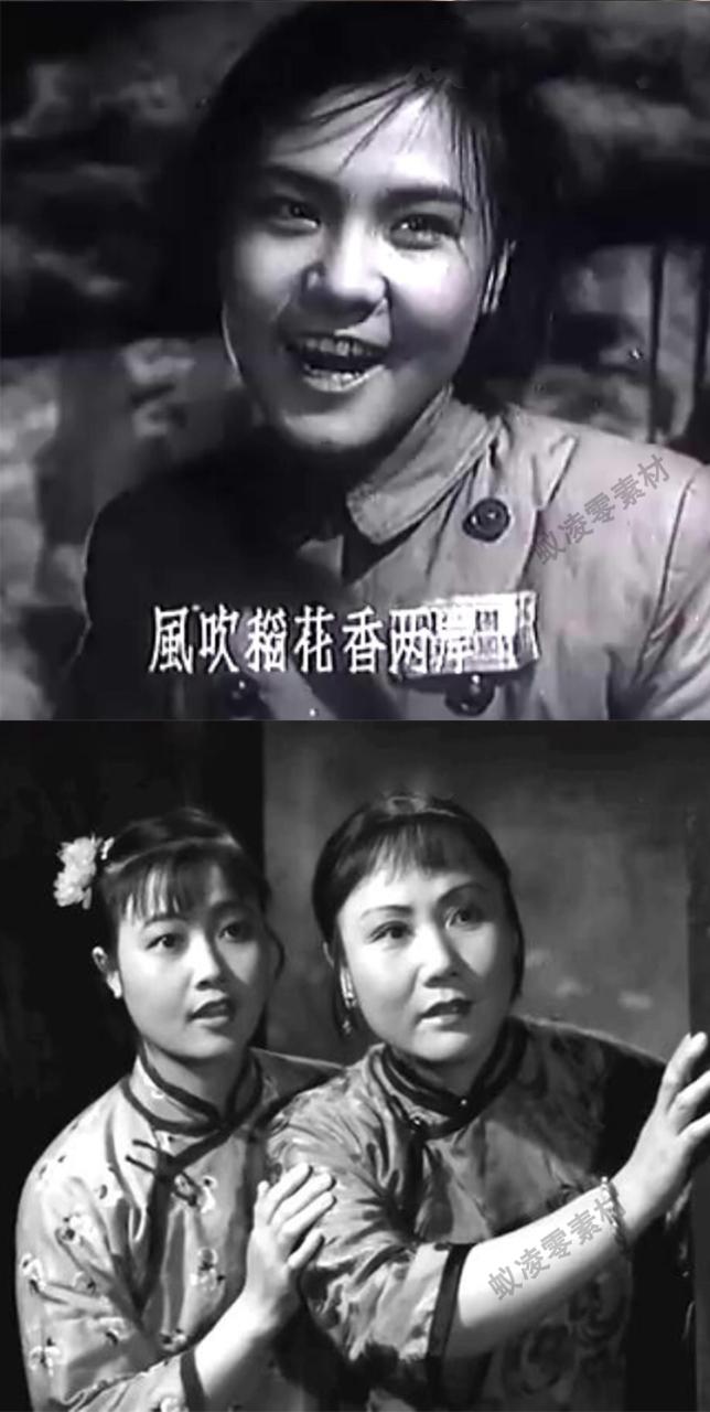 180部老电影资源视频MP4百年经典电影抗战剧抗日英雄故事免费下载插图8