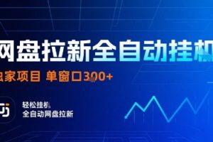 网盘拉新全自动挂G，独家技术，操作简单，自动完成拉新任务，单窗口3张【揭秘】