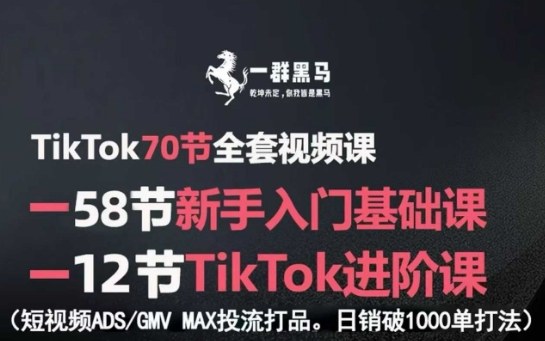 TikTok全套视频课,新手入门+进阶课,短视频ADS-GMV MAX投流打品,日销破1000单打法插图 TikTok全套视频课,新手入门+进阶课,短视频ADS-GMV MAX投流打品,日销破1000单打法