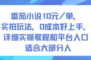 番茄小说10米每单，实拍玩法，0成本好上手，详细实操教程和平台入口适合大部分人